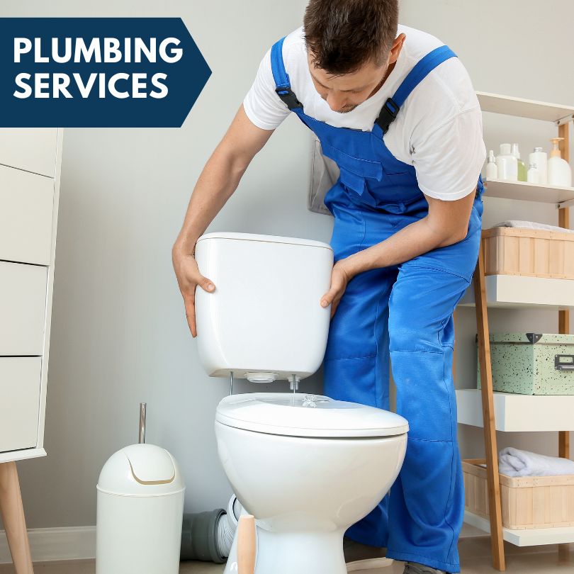 Plumbing Company in Wedron, IL